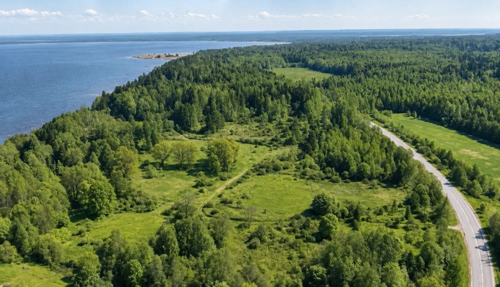 Кингисеппский район